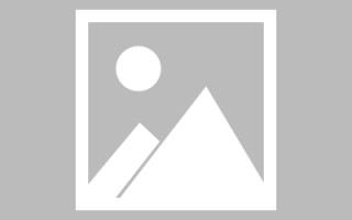 公主岭新区景区网站建设（in art criticism,you must assume）